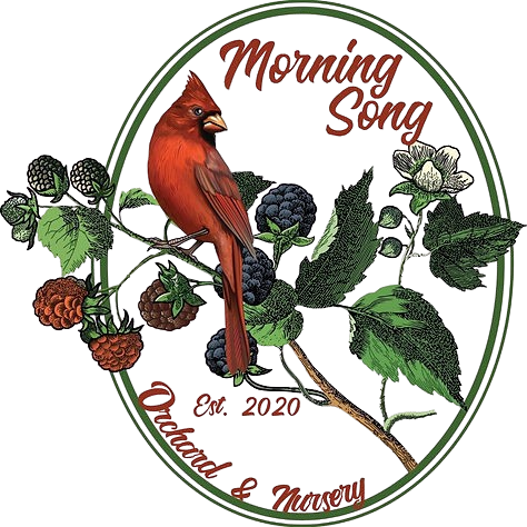 84bd50_391d4402cd1f4ddca378f2f633f50db3_mv2-removebg-preview